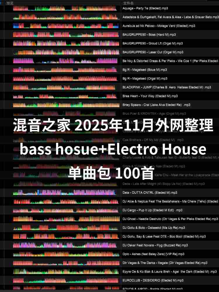 混音之家11月外网整理bass hosue+Electro House 100首